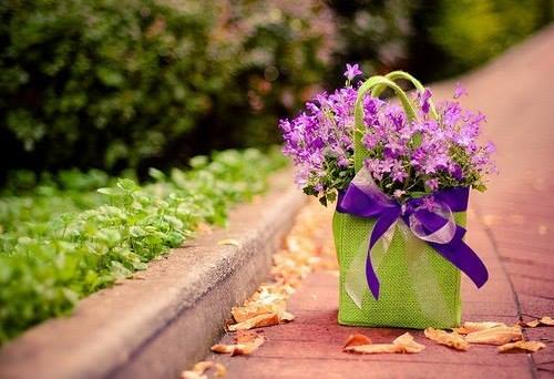 ������� � ���� �� 4 ������: 36 ��������, ���������� � �����.