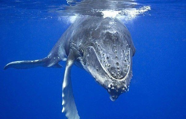 ����� �������� � ���� ���