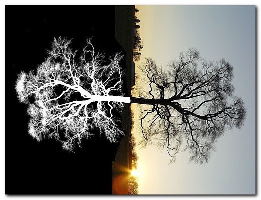 ������ �����