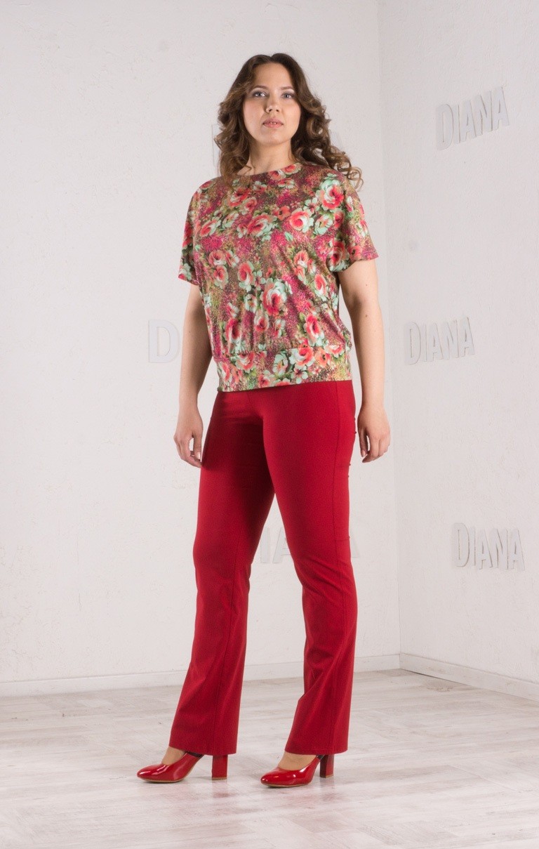 ���� �������. ������ ������. �����, ���� � �����. ��� 2014-2015 ������������ ������� ������!! � ������ � �����������! �� ����� ���� � ������ 38-74. ��� �����! ����� 25.