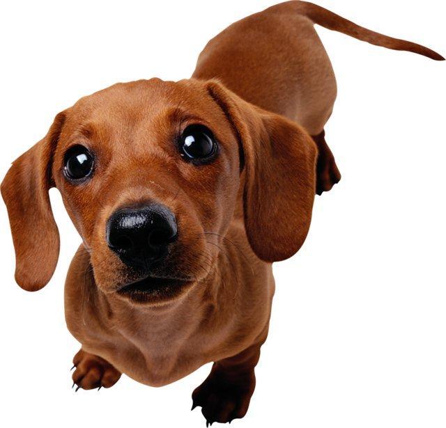 ������������ ������ - ��� �����...))))