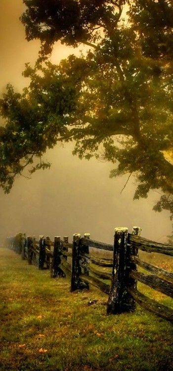 ������� ������ �� �����