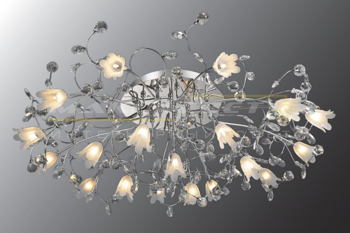 ���� �������. �������� ��������� + ������� ����� + Lamplandia! ������, ���, �������, ���������� �����. ���������