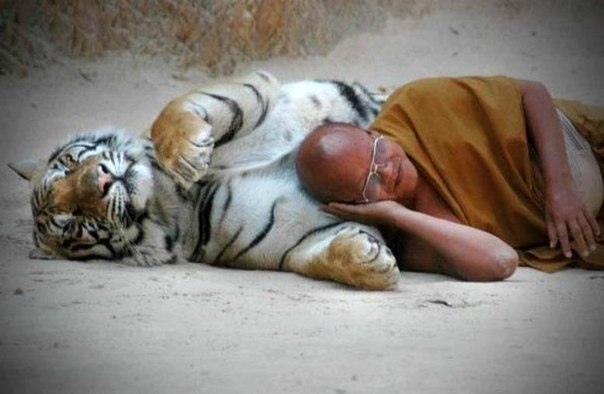 ������ ��������......