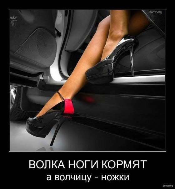 ��� ����...)))