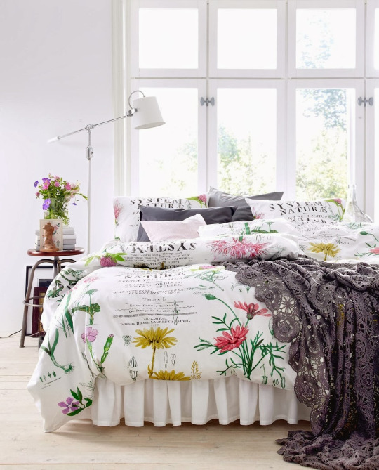 ����� ����� �� �������������� �� � ����� ���� ��������, ������ ����� � �������