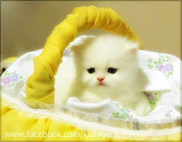 ��-��-��....