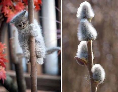 ��� ������� ��������� �� ����� ��������, �� ������� �������������� 500 �������