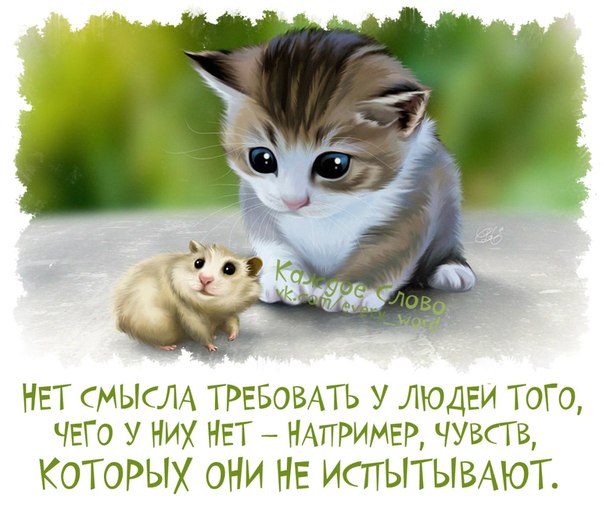 30 �������������� ��������, ������� ����� ������ ������ ����.