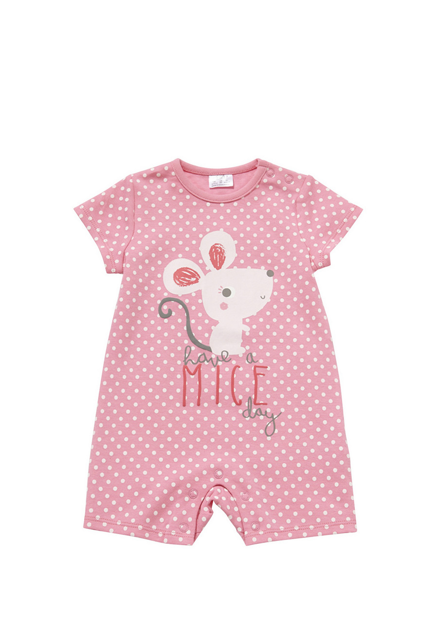 ������� � ��������