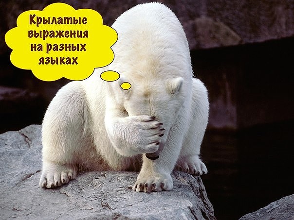 �������� ��������� �� ������ ������ ��� ����� �������