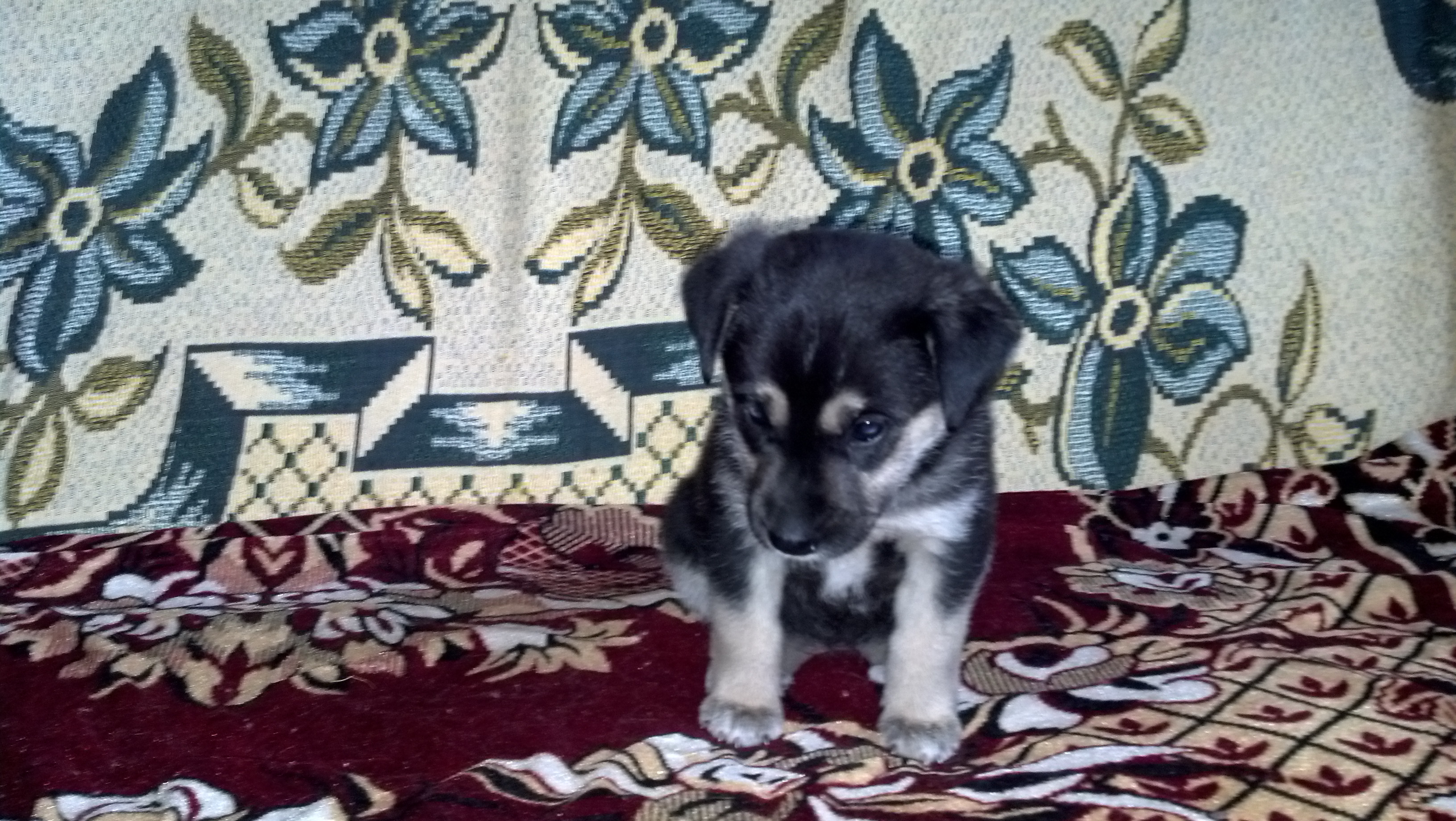 ����� ���� ������. ���������� � ���� OlgaSm77