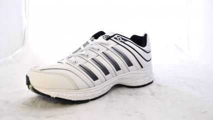 ���� �������. ���������� ����� Bona - ����� ����� ������ ������� � ������ �����. ����������� ������ �� ������ �����