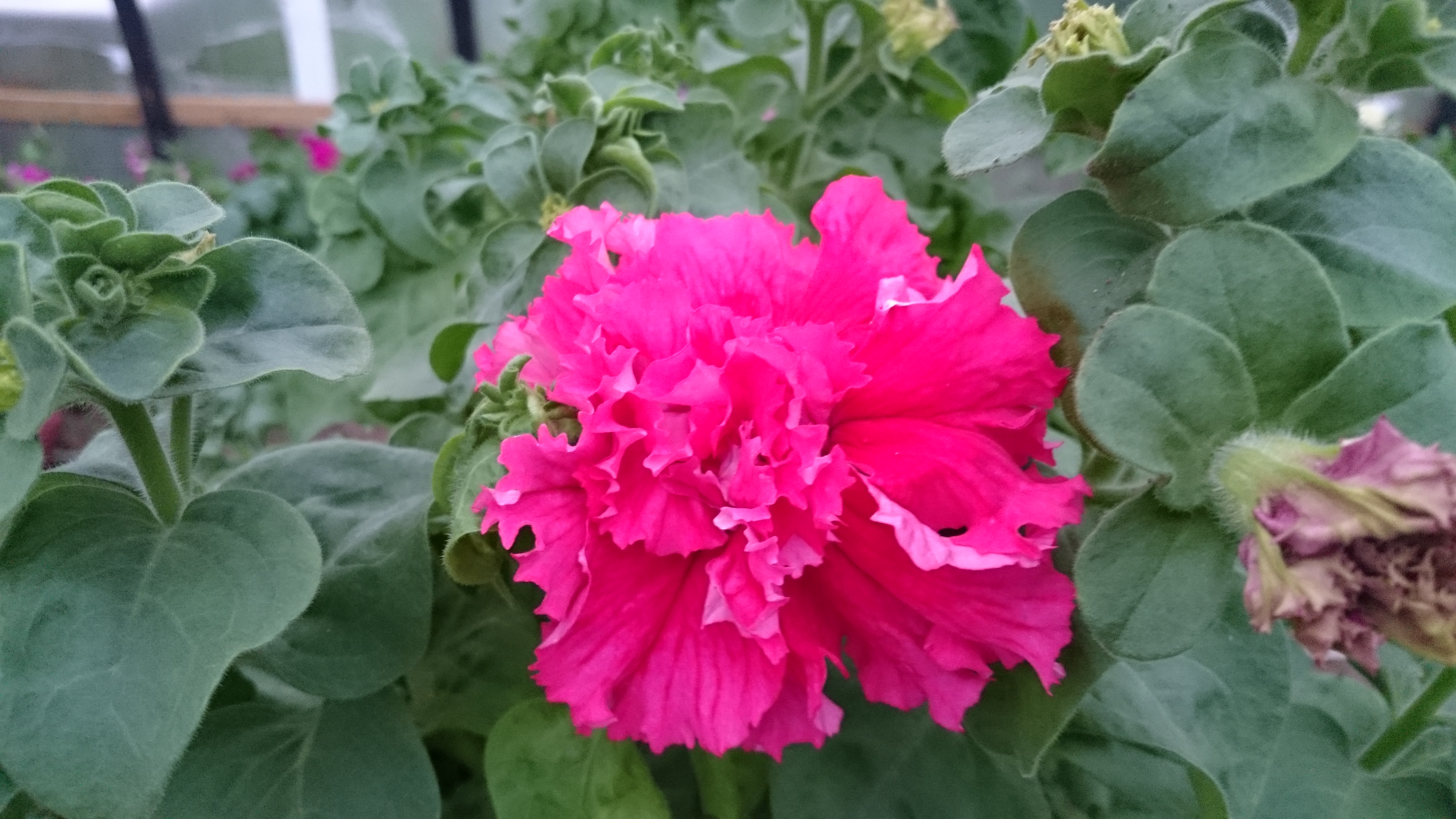 � ������� ������� ������� �������!!! ��� ���� � ������� � ����� ������!!