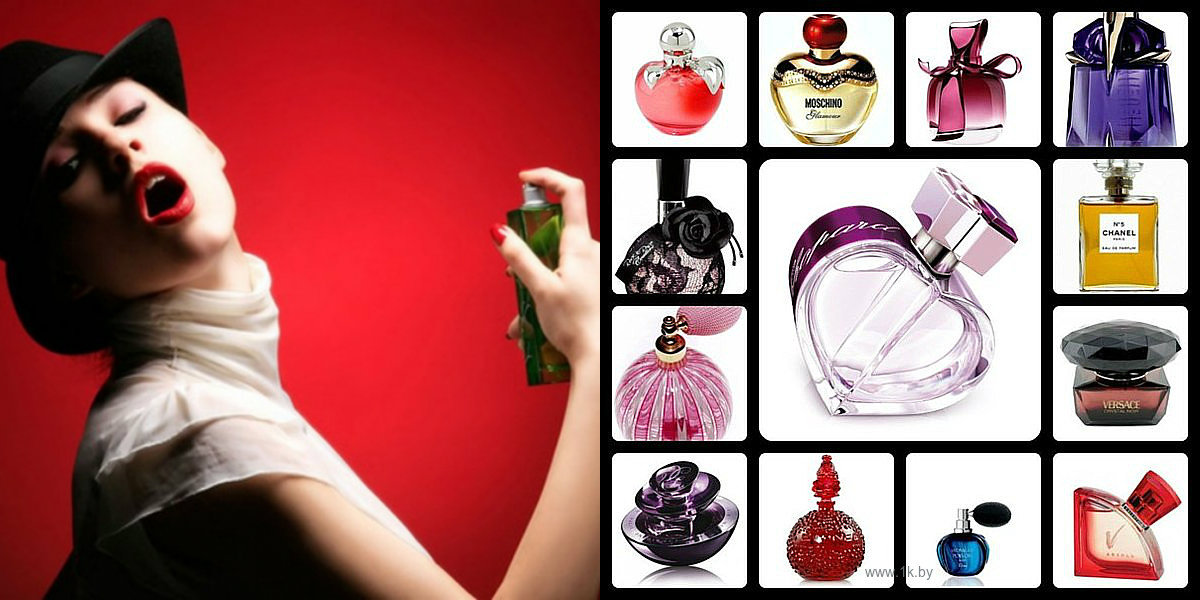 ���� �������. ������� ������ , ��������� -43