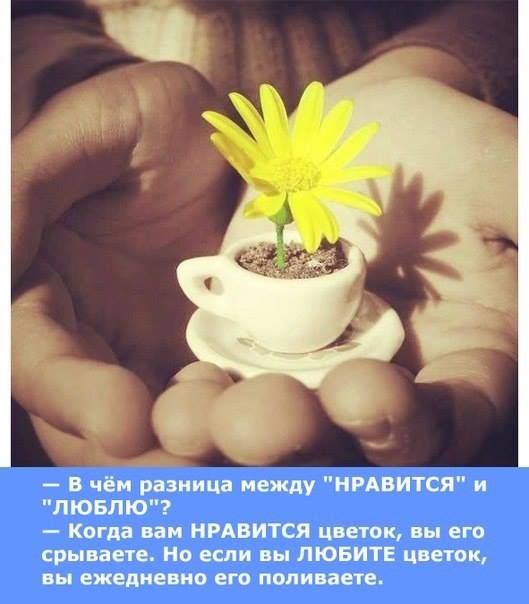 ������ �� ������ ���������� �� ����� ��������... (�) ���� ����� ������