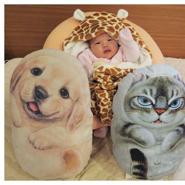 ���� �������.��������,�������, ����������, �����. Henry Cats and Friends �� � �� �.