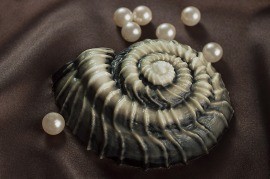 ���� �������. 