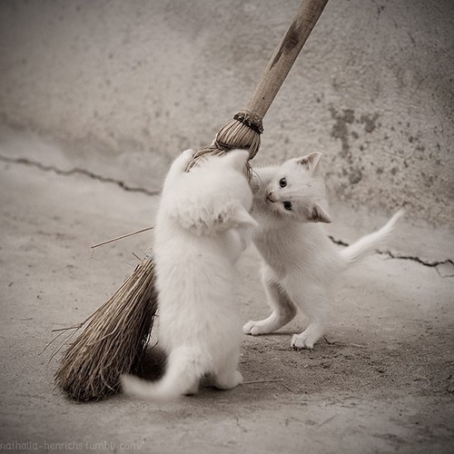 ������ �������...