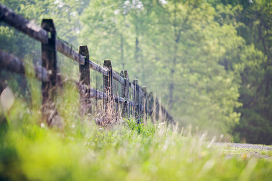 ������� � ����� ����...