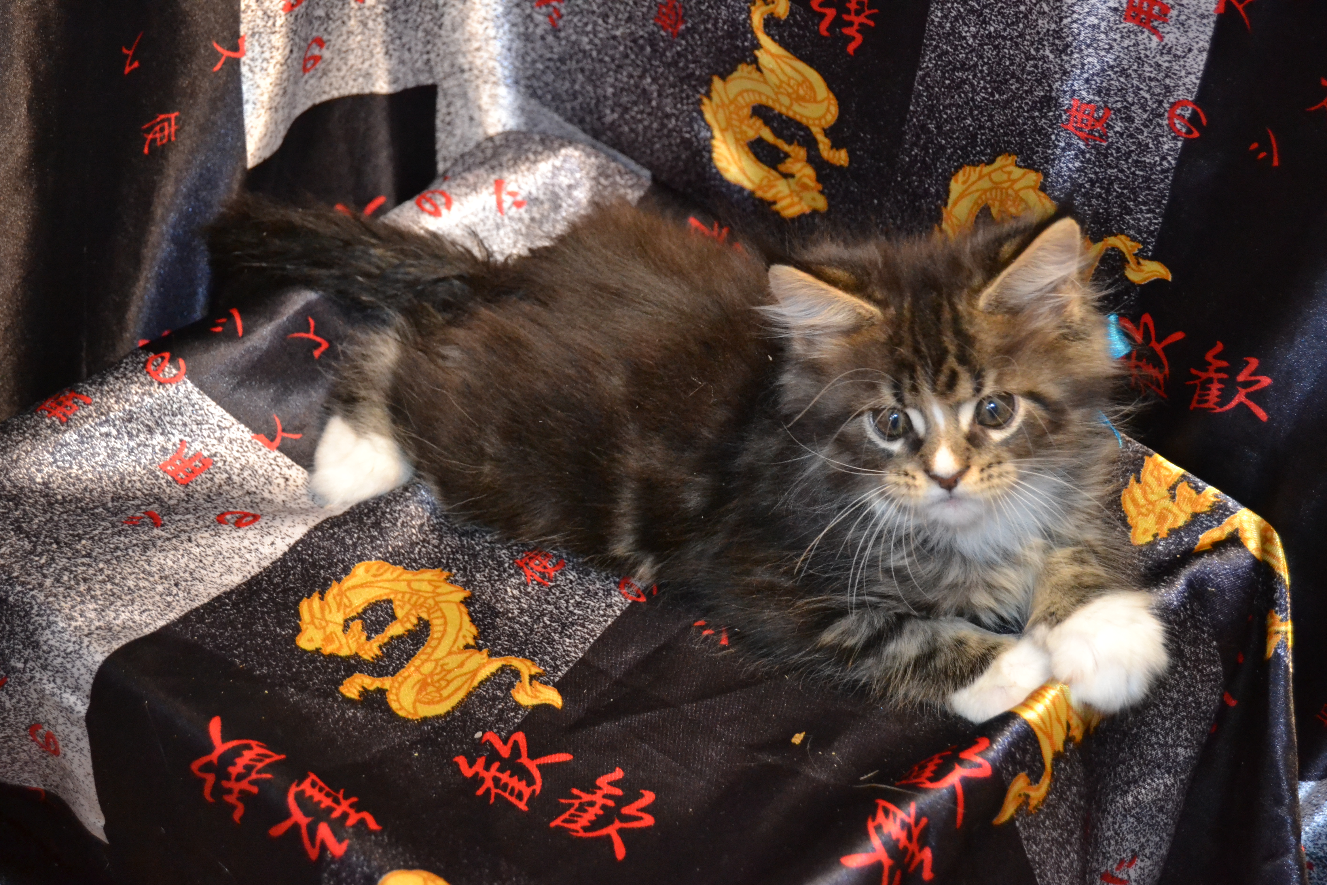 � � ����� ���� ��� ����� ��������� �������??!)