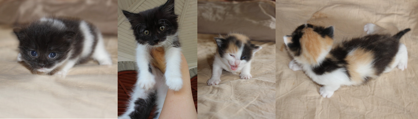 �������-��������-��������� ���� ������ � ������ ������ ��������� �� ����� ����������!