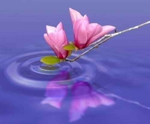 ������...