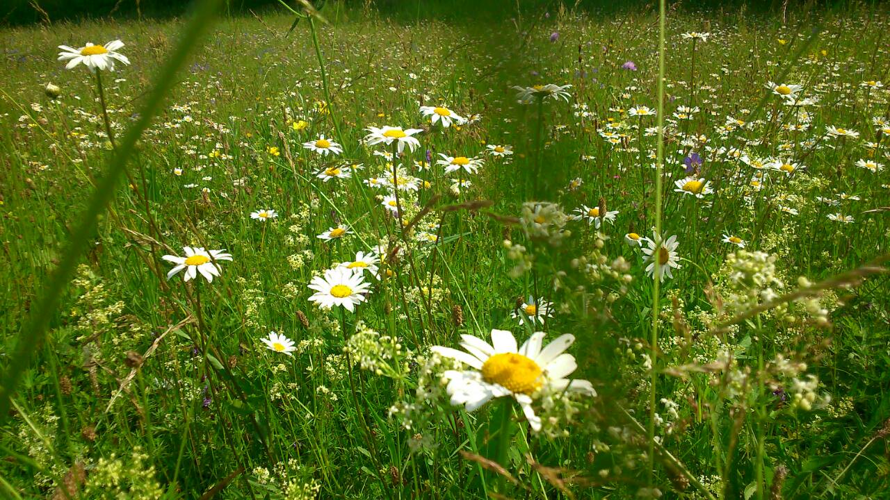 �������� ����� � ����� �� ��� � �������... � � ���?