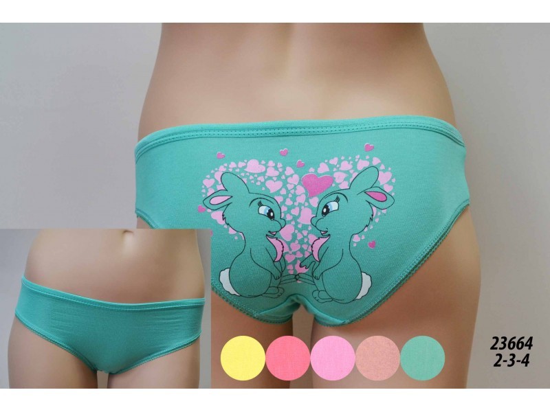 ���� �������. ������ ����� ������. �������, ������, ������� ��� ��������� � ������� �� 2 �� 15 ���. ������� �������� �� ����������� �����