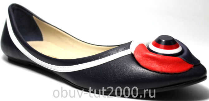 ���� �������. ������� ����� �� ����� ����. ��������, �������, �����,���������.���� �� 500�.����� 3.