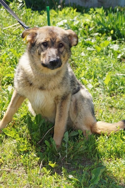 �� ��������� ����!!! ��� �������� ��������� � ������ � �����!!!!!!!