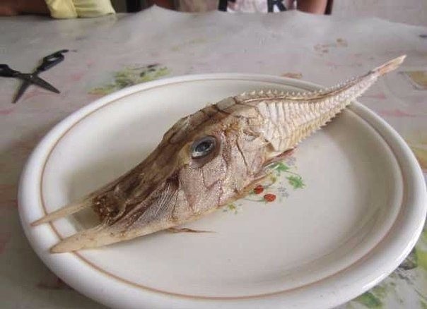 ���� �������� ��� ������