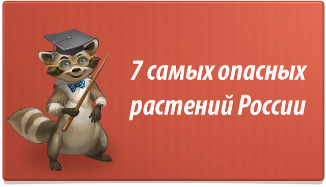 7 ������� �������� ������