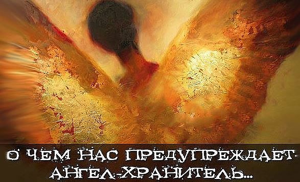 � ��� ��� ������������� �����-���������