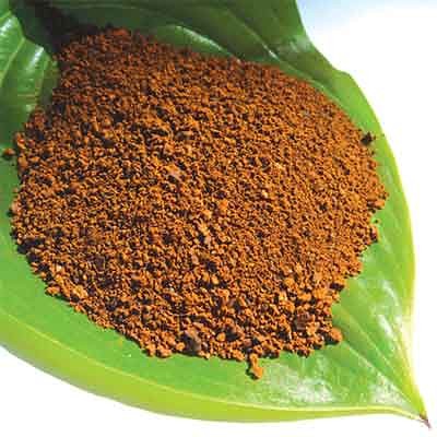 ���� �������� ��� �������