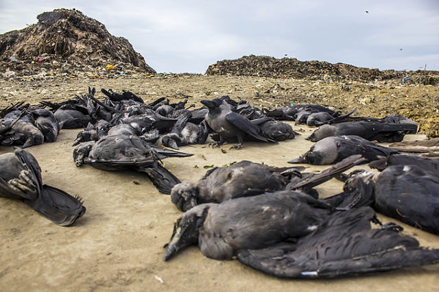 � ��������� ���������