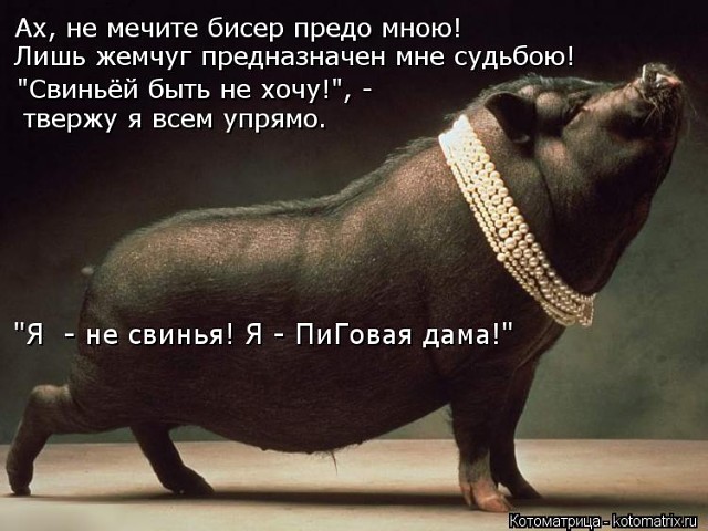 ����������� �������� 11 ���� � ��������� � ������� �����