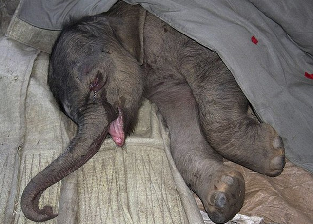 �������� ���� ������