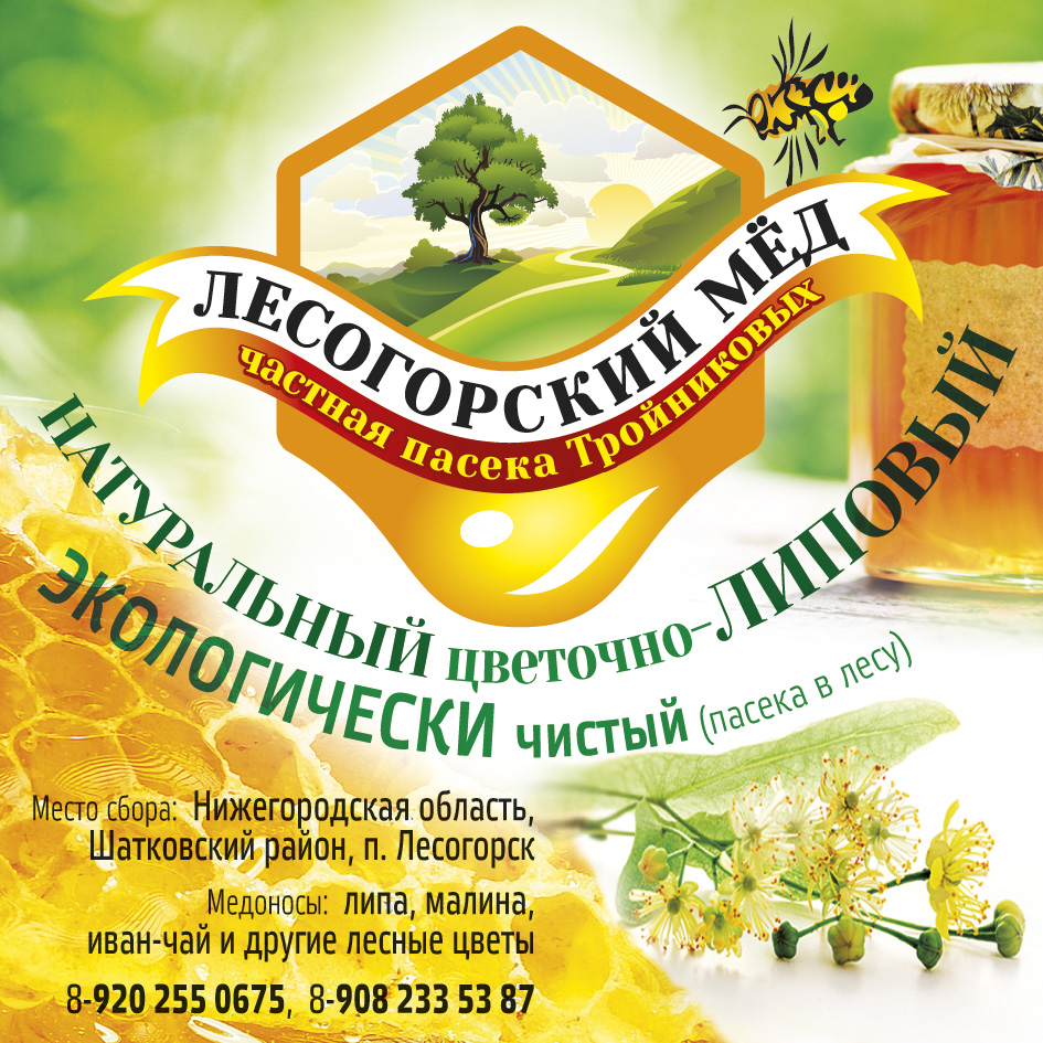 ������� ������ ͣ�