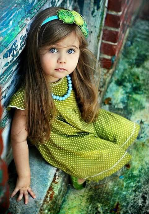 ��������� ���� ������� (�) ������ �����