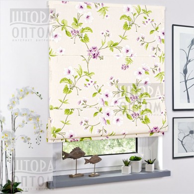 ���� �������. �������� �����. ����������� �������� �������� �������- 24. ��������� ��������� � �����, �����, ����