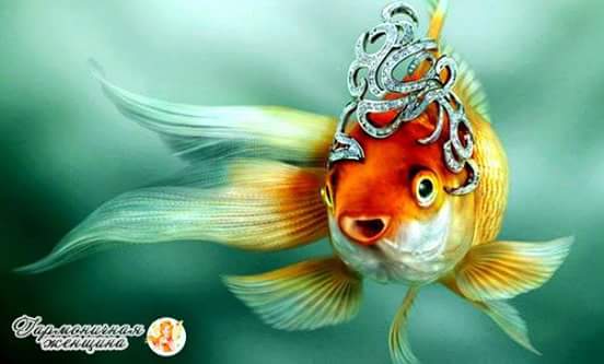 ����� �� ��� ���������� ������...