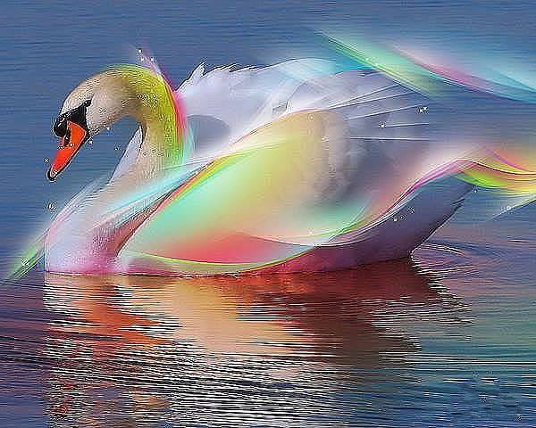 � ������� ���� ������, � ��������� �������...