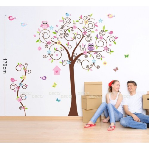 ���� �������. ������������ �������� - Decci - Decci: ���������, ����-�������� � ����������� ����������. ���������