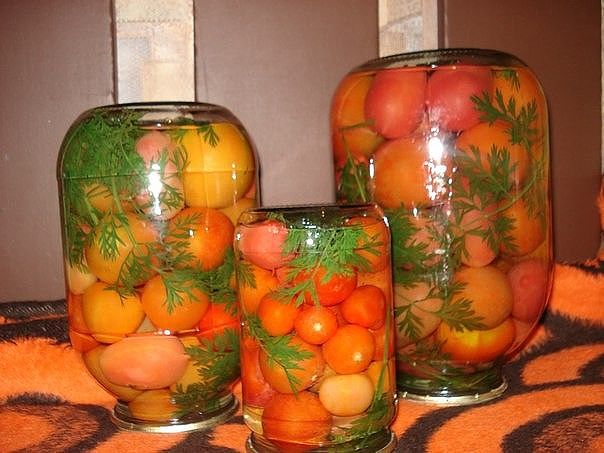 �������� � ��������� ������