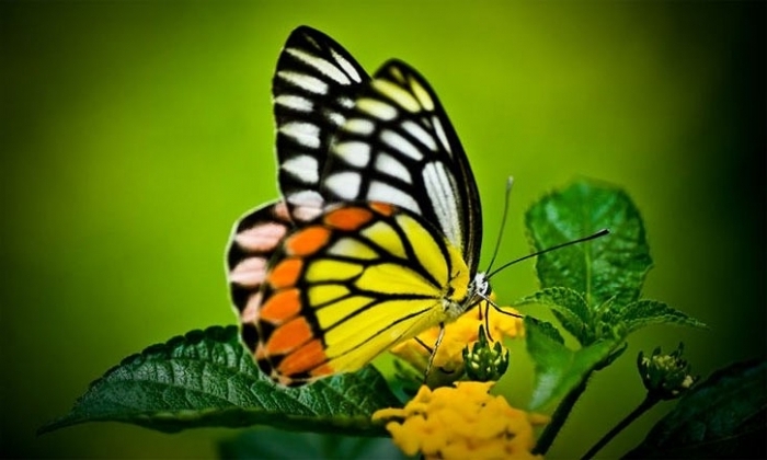 �� ��� ������� ������� � ��� ��������... �������, ��� ��� ����� ������� �������...