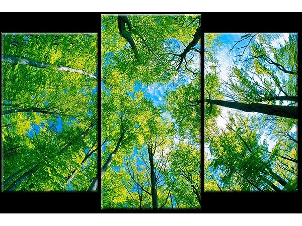 ���� �������. �������� ��������� �����������-7. �������� �����. ����������, ����������, �������, ������, �����, �����, �������. ��������� �������. �������� ���� �� 343 ���.