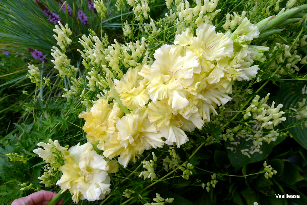 ���������� ������