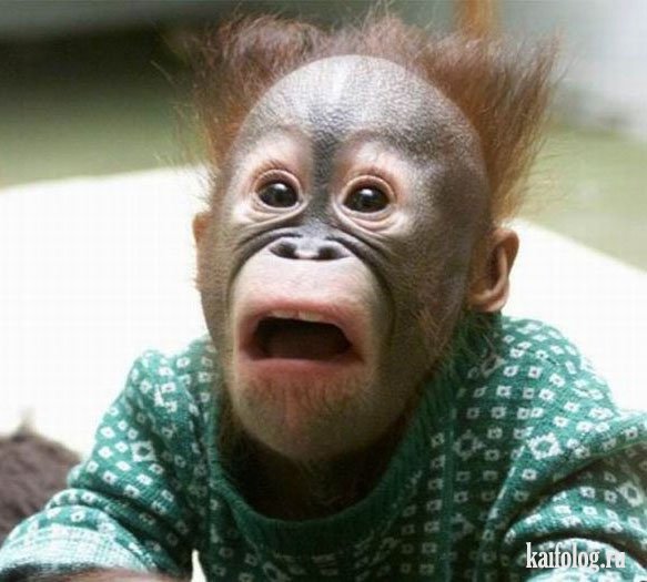 ���� � ������� ...