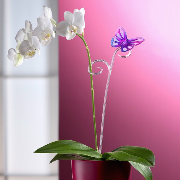 ���� �������. �������� ������ ��� �������, ����� �����. � ����� ������ ������������ � ����������� ������� � ���������.���� - 3.